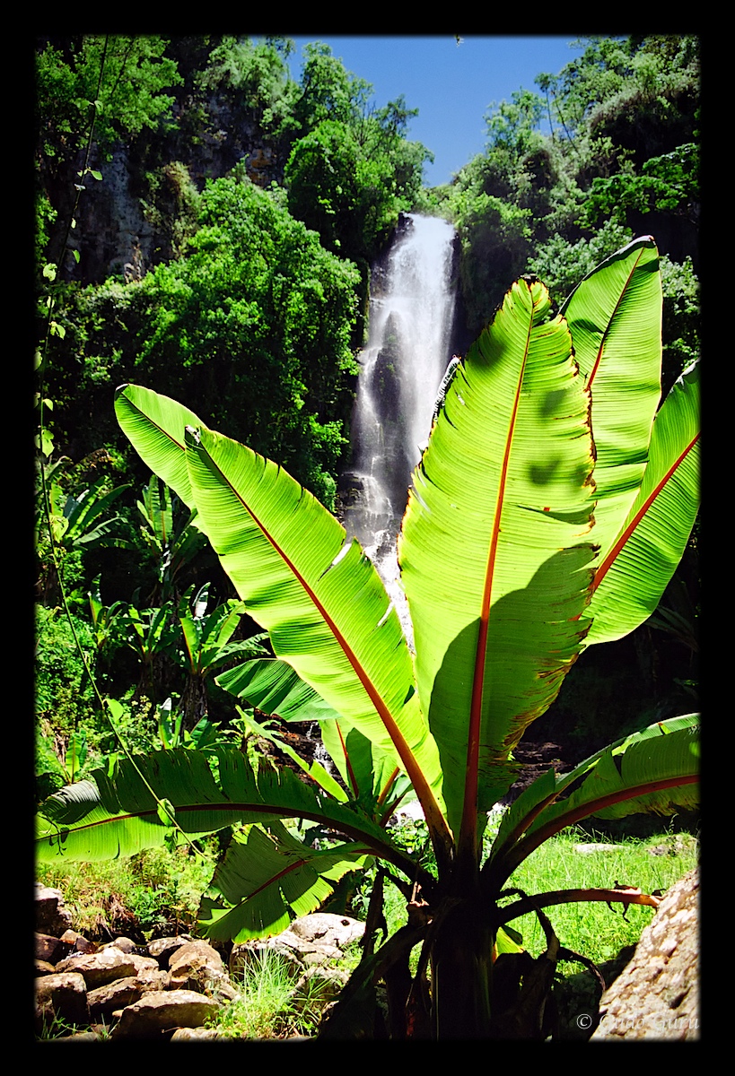 Bridal Veil Falls, Chimanimani, Zimbabwe