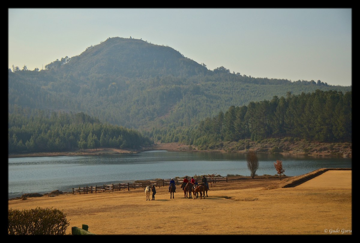 View from Troutbeck Inn, Nyanga, Manicaland, Zimbabwe