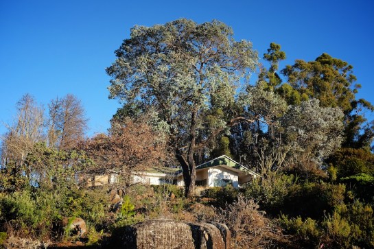 Hornbydale, Troutbeck, Zimbabwe