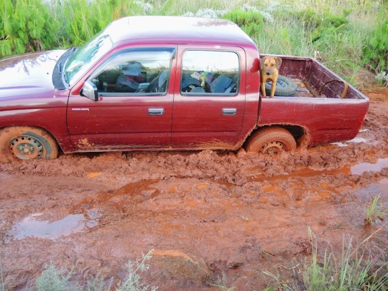 Megan is Stuck in the Mud, Troutbeck, Zimbabwe