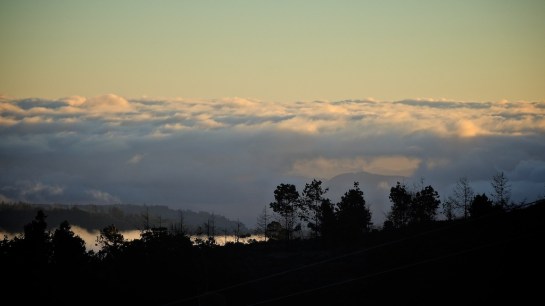 From Hornbydale Looking East to Mozambique