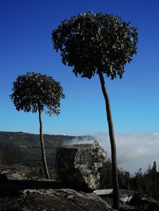 Above the Clouds, Hornbydale, Zimbabwe