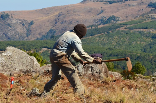Mr Tongai on the fireguard