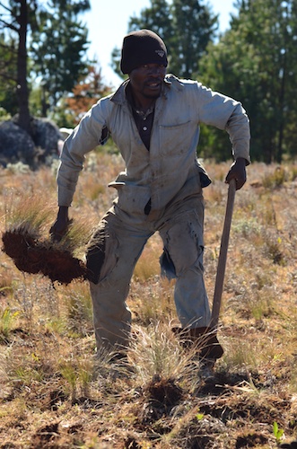 Mr Tongai on the fireguard