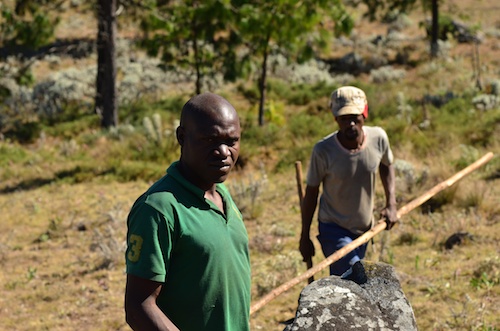 Fireguard champion - Mr Willard