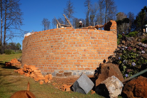 The end of the tadpole tail takes shape
