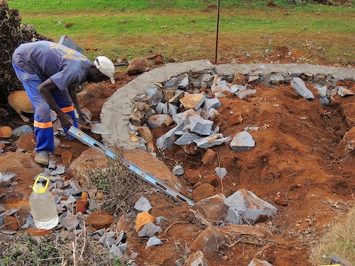 Mr Patrick 1 forming the special tadpole curve