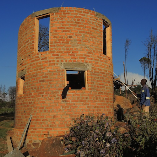 Tadpoles walls are finished