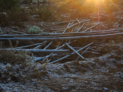 Frosty morning at Hornbydale