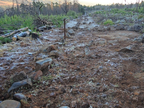 Frost on the fireguard