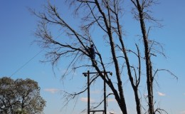 Danger! Men at&nbsp;work