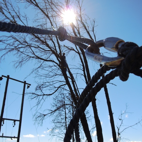 Pulling tree branches with 6 ton winch