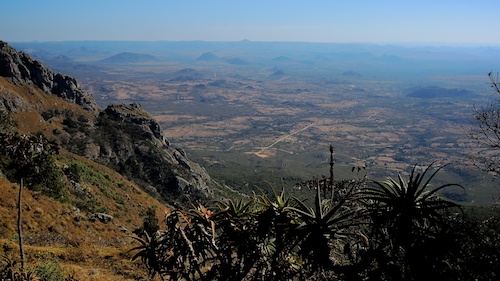 Aloes at World's View