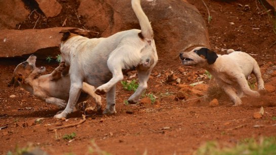 Quimby wants to help out