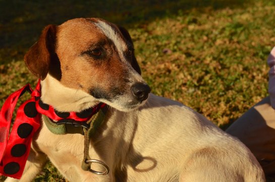 Petra the glowing mother