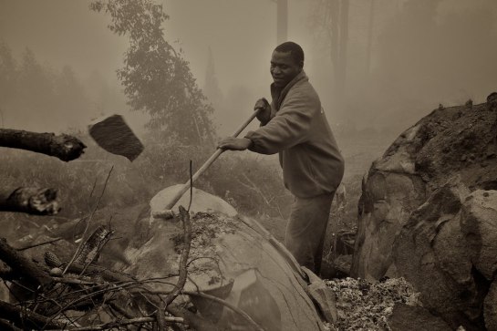 Mr Willard has success