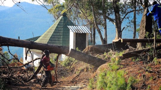 and shows us how its done