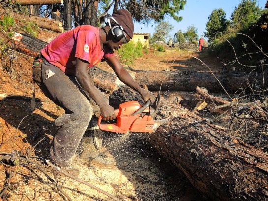 He's getting good at this