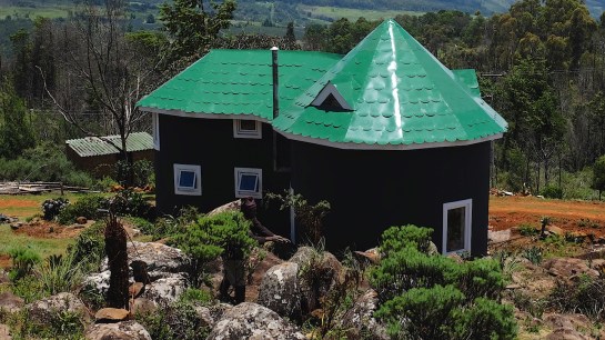 The tadpole building