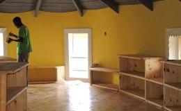 Tadpole Part 5: Planks and&nbsp;Paint