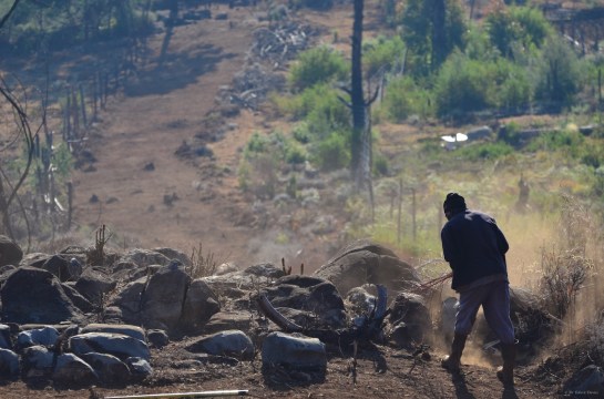 Ramius and Co scrub the 6m strip of land