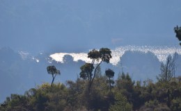 2015 Fire guard or Fencing part&nbsp;1