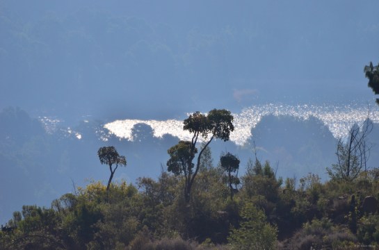 Mufenge overlooking Troutbeck Lake