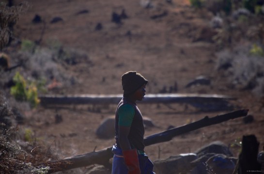 Tendai in profiled against the fireguard