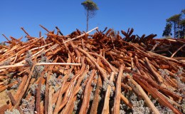 Fencing Part 2: Produce your own poles and&nbsp;droppers