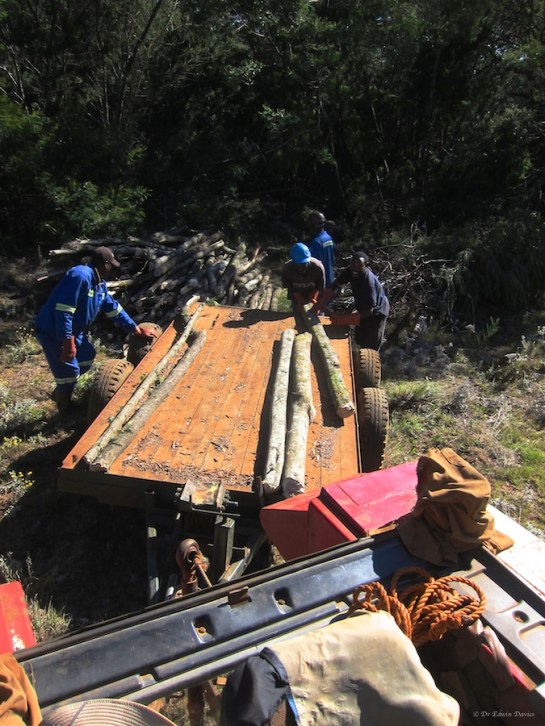 Loading 3m droppers on the trailer