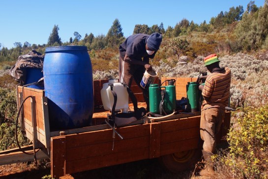 The three of us fill up with glyphosate