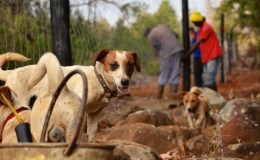 Fencing Part 6: D to&nbsp;C