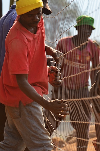 George checking the fence