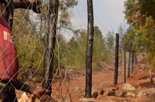 Looking back on progress D to C