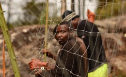 Fencing highlights D to&nbsp;B