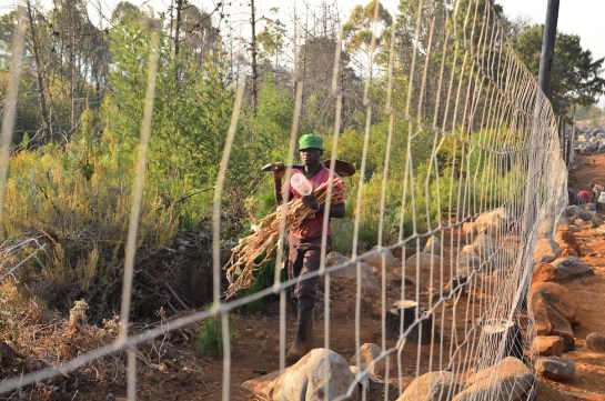 Garikai walking home on the other side
