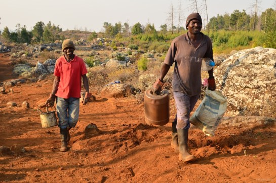 George and Ramius after a good day at the fence