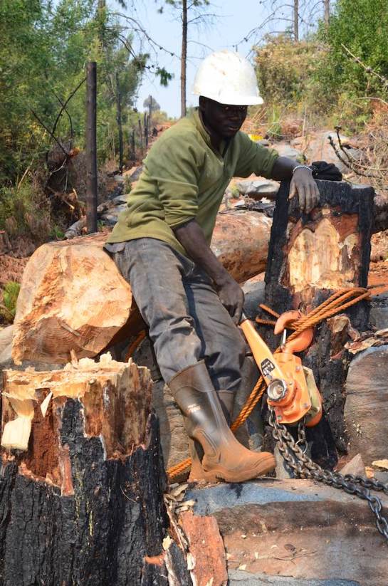 The winch man - Garikai