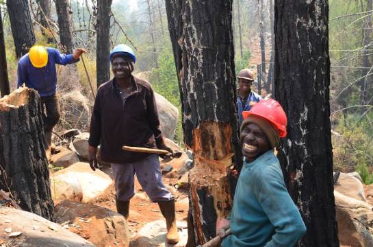 The happy woodsmen