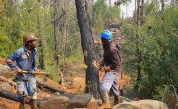 Tree clearing the ZESA and fencing&nbsp;line