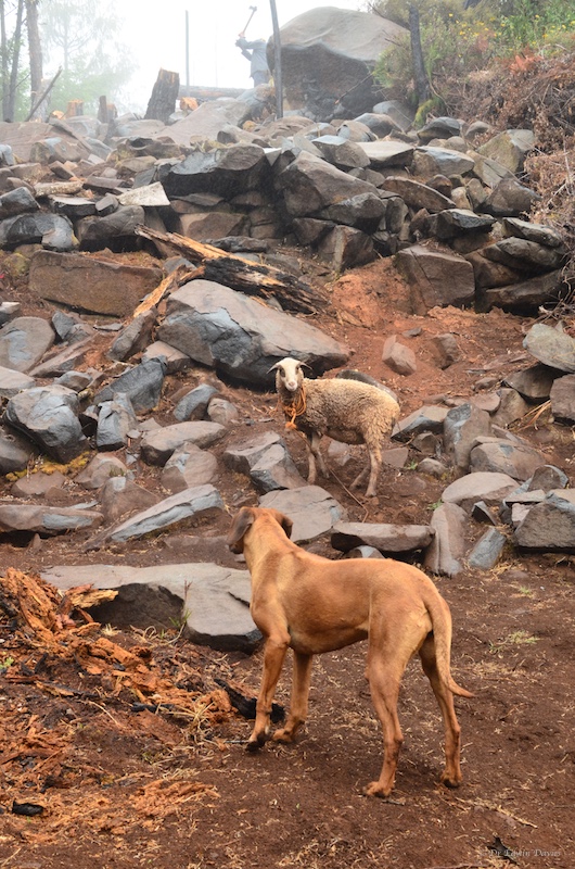 Megan and Julien (pronounced French way)