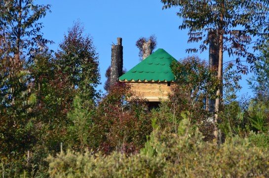 Treehouse under construction
