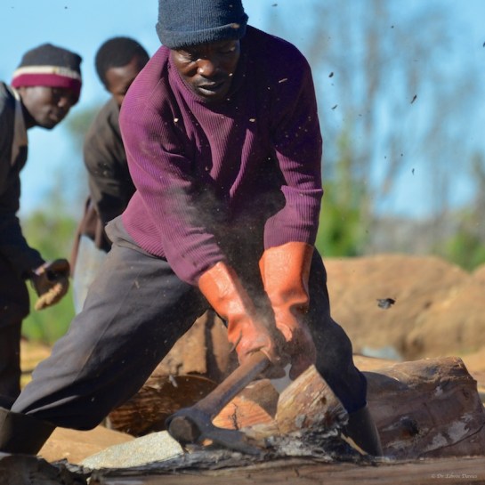 Tongai trimming and shaping