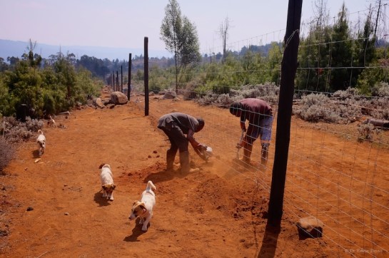 Burying the bottom of the fence