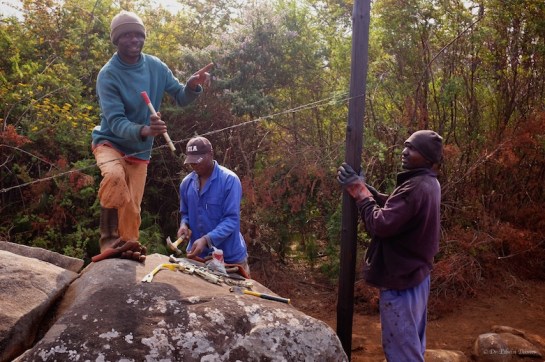 George the senior fencer