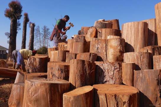 Tendai hammering a smaller infilling log