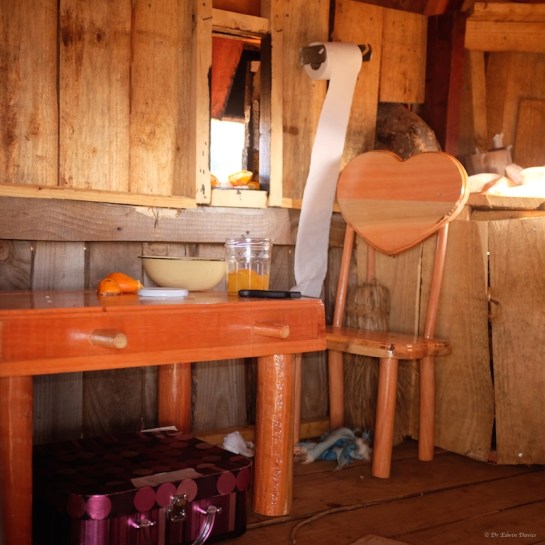 Completed treehouse & furniture