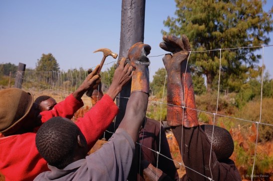 Nail the fence up everyone!