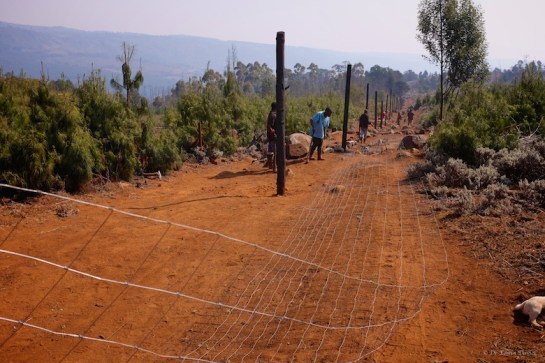 and repeat for 4.5 km