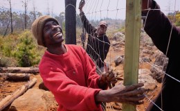 Fencing Part 4: Start Fencing – Section E to&nbsp;D